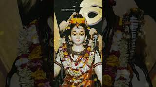 🙏💯 Bas liye samarpan tan man se mai dev bhumi me aata hu ||shiv sankar status ||#shorts #shiv