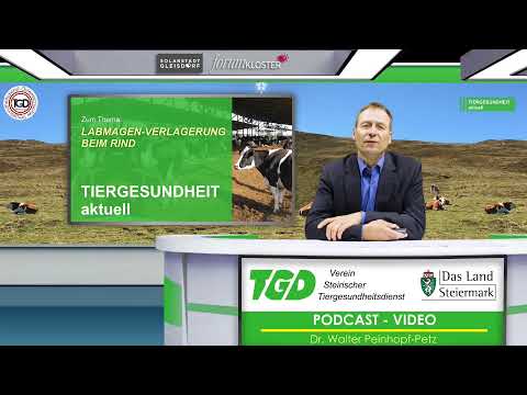 Video: In Baschkirien Trug Eine Kuh Ein Riesiges Kalb - Alternative Ansicht