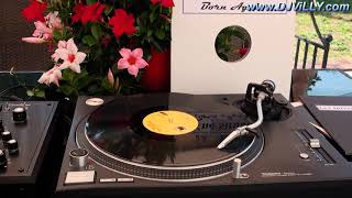 Divine Situation ‎ - Born Again 12\