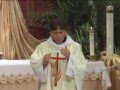 7 Reasons Why I Became a Priest - Fr. Mark Goring