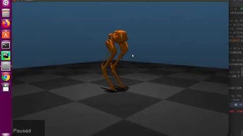 Cassie Train to Stand