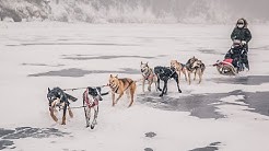 Путешествие на собачьих упряжках. Россия. Часть 1