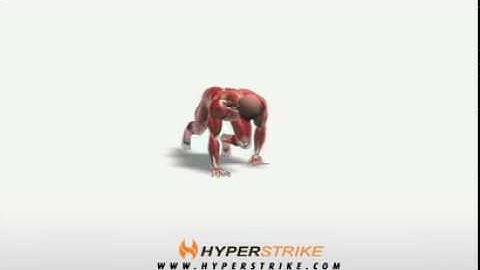 Exercise Videos- Bear Crawl