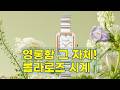 ✨영롱함의 끝판왕! 롤라로즈 Ms Lola 화이트 오팔 큐빅인덱스 사각시계 LR4706 리뷰