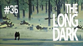 HELLO OLD FRIEND  THE LONG DARK (EP.36)