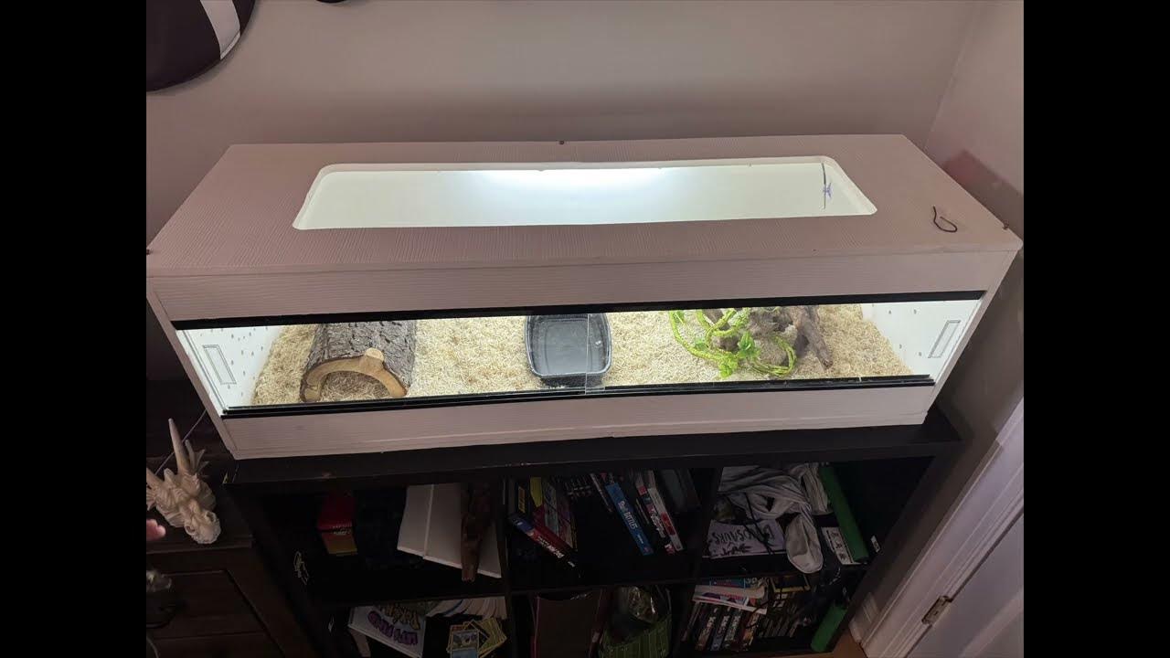 Custom Ball Python Enclosure - YouTube