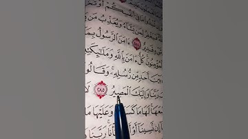 ارح قلبك بذكر الله تلاوة رائعة وجميلة من اواخر سورة البقرة #القرآن_الكريم #المصحف #لايك #قرآن 💖🌿🤍