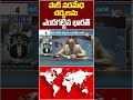 పాక్ నరమేధ చర్యలను ఎండగట్టిన భారత్ #pakistan #india #unitednations #10tvworld