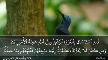 الصفحة 413 سورة لقمان بصوت القارئ المهندس أحمد فايز الحراسيس