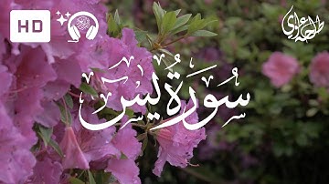 Surah Yasin - Talha Alvi | سورة يس - طلحه علوي