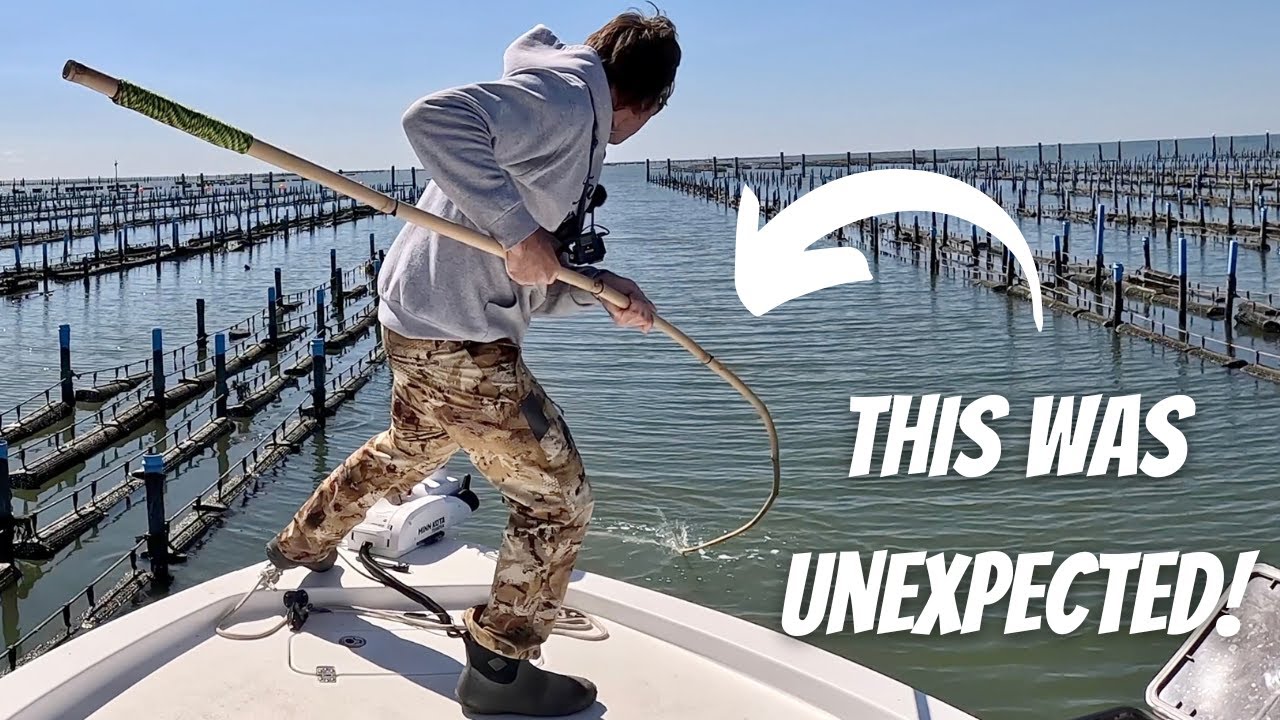 I Tried Saltwater Fishing With A CANE POLE & LIVE Crabs **Surprising  Results!** 
