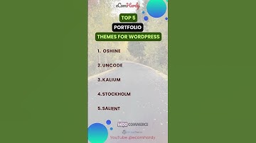 📁 Top 5 Portfolio Themes for WordPress Websites | Showcase Your Best Work