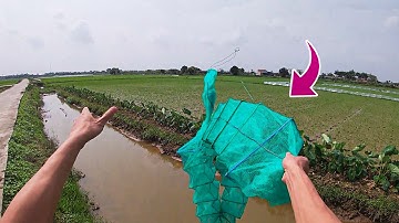 Tuyệt chiêu lồng bát quái chặn sông bẫy cá ngược dòng nước... ( Fish trap cage) Lạ Vlog