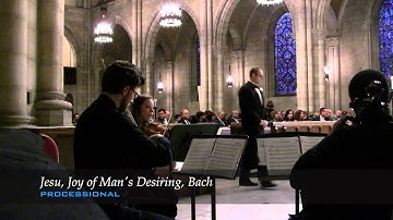 iconiQ Strings - Traditional Wedding Ceremony Montage (String Trio ver.)