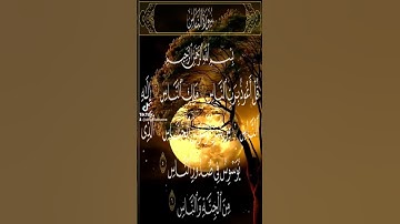 قران كريم تلاوة خاشعه #duet #القزابري #المصحف #دويتو #اكسبلور #تيك_توك #الرحمن #لايك