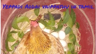 yappadi Addaivaippathu in tamil