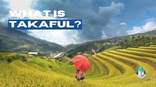 What is Takaful? | Islamic Insurance