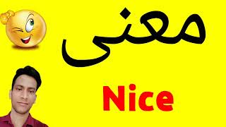 معنى Nice | معنى كلمة Nice | معنى Nice في اللغة العربية | ماذا يقول Nice باللغة العربي