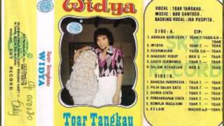 WIDYA_TOAR TANGKAU