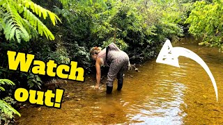 Danger Lurks in this Riverbed as River Treasure Hunters search for Valuable Antiques!
