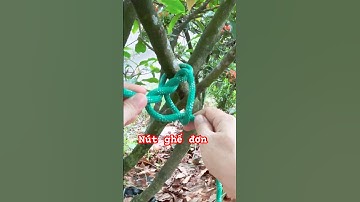 #125 Nút thắt cứu hộ cứu nạn leo núi, hoạt động ngoài trời #diy #knot #shorts #tutorial
