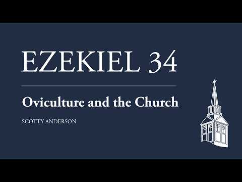 Scotty Anderson | Oviculture and the Church