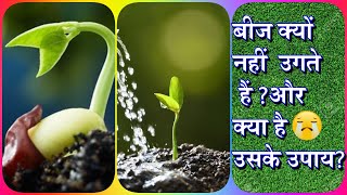 Why my Seeds Do not Germinate|Seeds not Germinating Reasons and its Solutions| Hindi/Urdu | V151