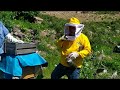 APICULTURA PARA PRINCIPIANTES: Algunos manejos simples y utiles para el apicultor