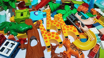 Satisfying Building Blocks ASMR Marble Run #103 Block Coaster Jungle three giraffes animals live 16