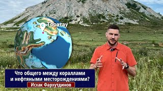видео: Что общего между кораллами и нефтяными месторождениями как их помогают искать современные технологии картинка: Что общего между кораллами и нефтяными месторождениями как их помогают искать современные технологии