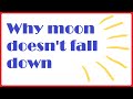 Understanding Forces and Orbits