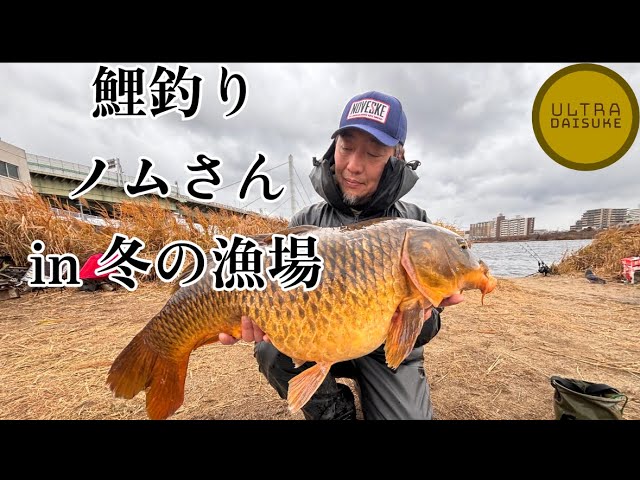 Carp Fishing] Got a 90cm+ & 17,000g winter carp! Successfully