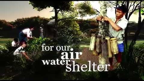 International Year of Forests 2011   HD 1 min