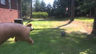 Pressure Washing with Troy Bilt Honda