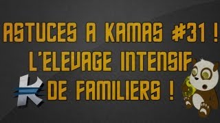 Astuces à Kamas #31 ! L'élevage intensif de familiers !