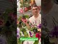 Стрептокарпус нашей селекции DS-Neon #streptocarpus