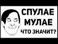 СПУЛАЕ МУЛАЕ - Что Это Значит? Мем Спулае Мулае Нгпчк. Что За Песня? / Эмпочмаки Мулае XXXTENTACION