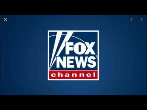 They Are Losing It... And I Love It