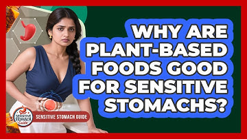 Why Are Plant-based Foods Good For Sensitive Stomachs? - Sensitive Stomach Guide