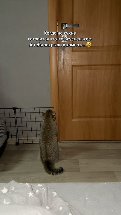 Открой! 😡 - YouTube