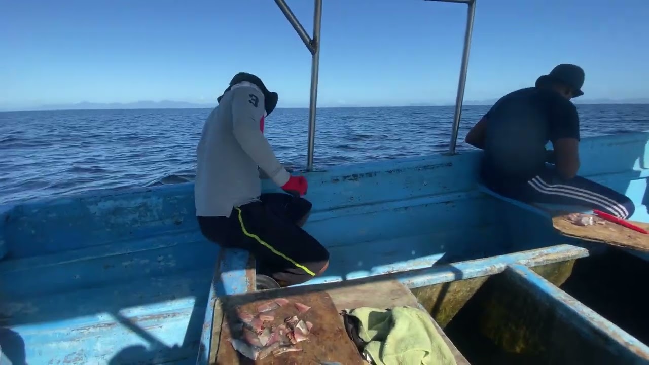 Handline fishing in the Gulf of Paria, Trinidad. #handlinefishing #trinidad #adventure