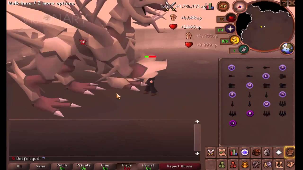 Visionary317.com - Pre EoC Runescape Server - Promo Video!