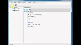 FireHTML Professional Programming Vlog 2