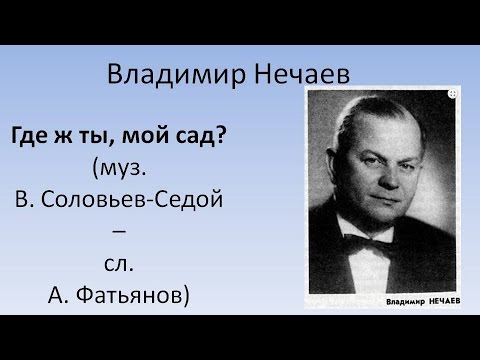 Владимир Нечаев Фото