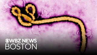 246 suspected cases of Ebola, 65 deaths in Congo