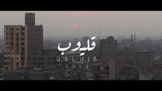 مدينة قليوب