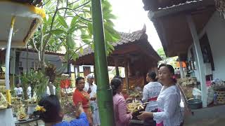 Uapacara Rsi Gana ( 2 Tahun Lalu) Uapacara Rsi Gana ( 2 Tahun Lalu)