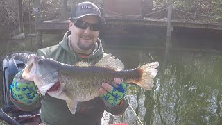 TackleShack Tech Talk: Texas rigging during the spawn Update
