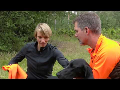 Video: Wenn Der Hund Eine Fraktur Hat