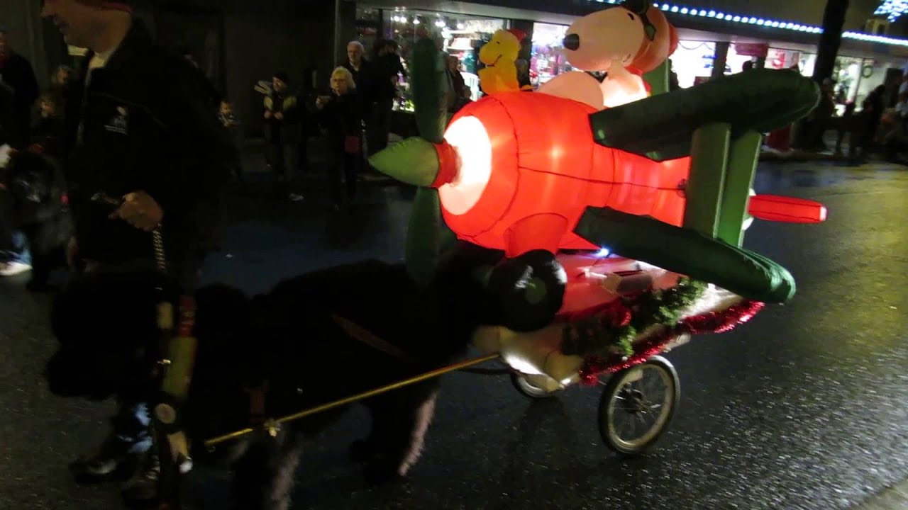 Nanaimo Santa Parade with Nanaimo Kennel Club 2013